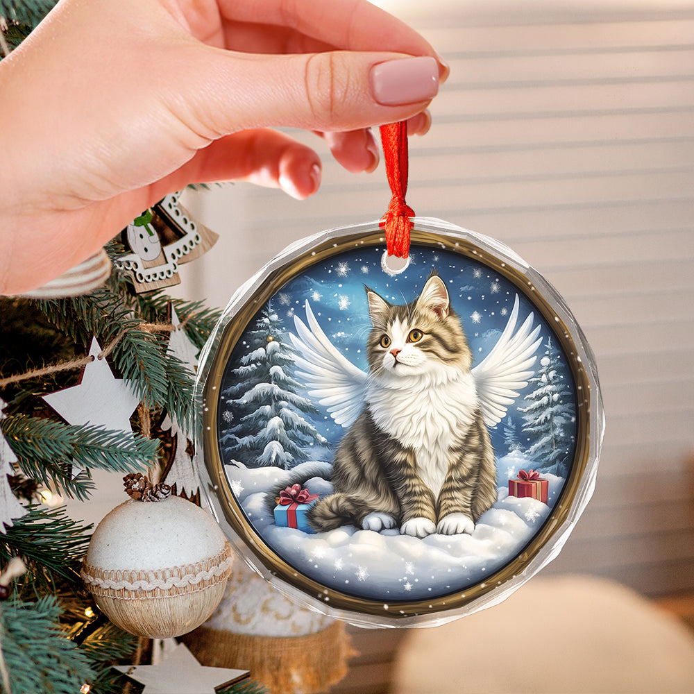 Angel Siberian Cat 3