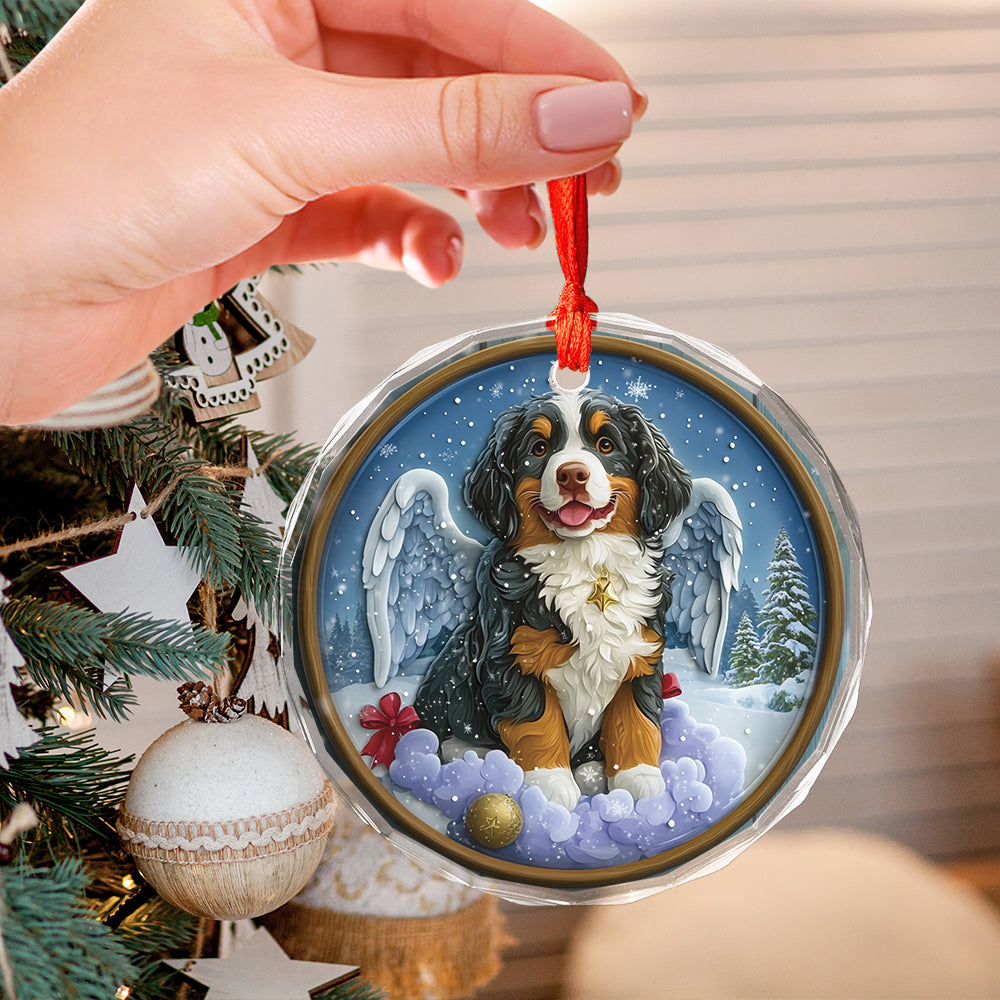 Angel Bernese Mountain Dog 1