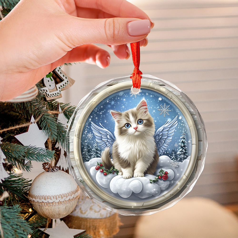 Angel Ragdoll Cat 2