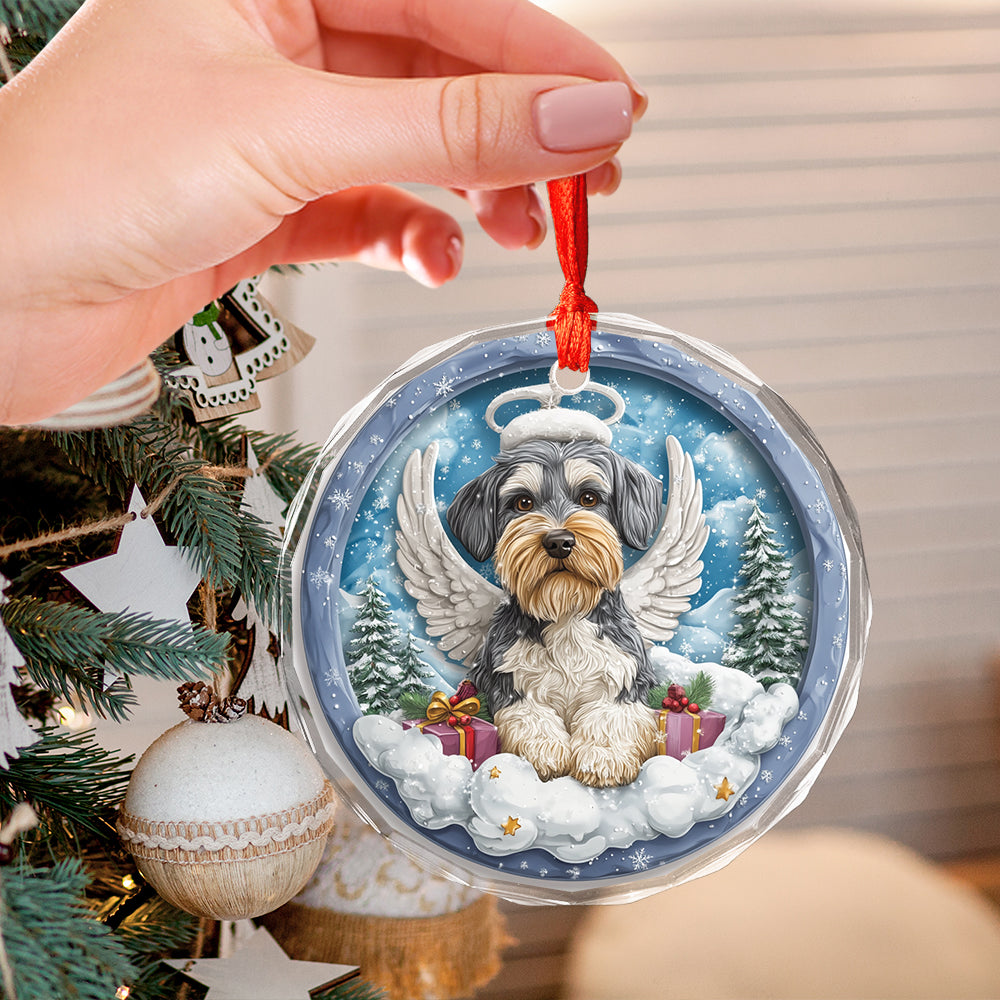 Angel Miniature Schnauzer Dog 3