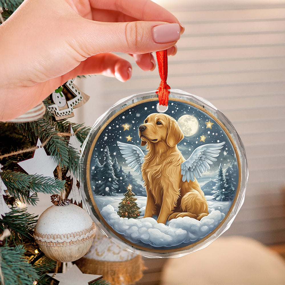 Angel Golden Retriever Dog 4