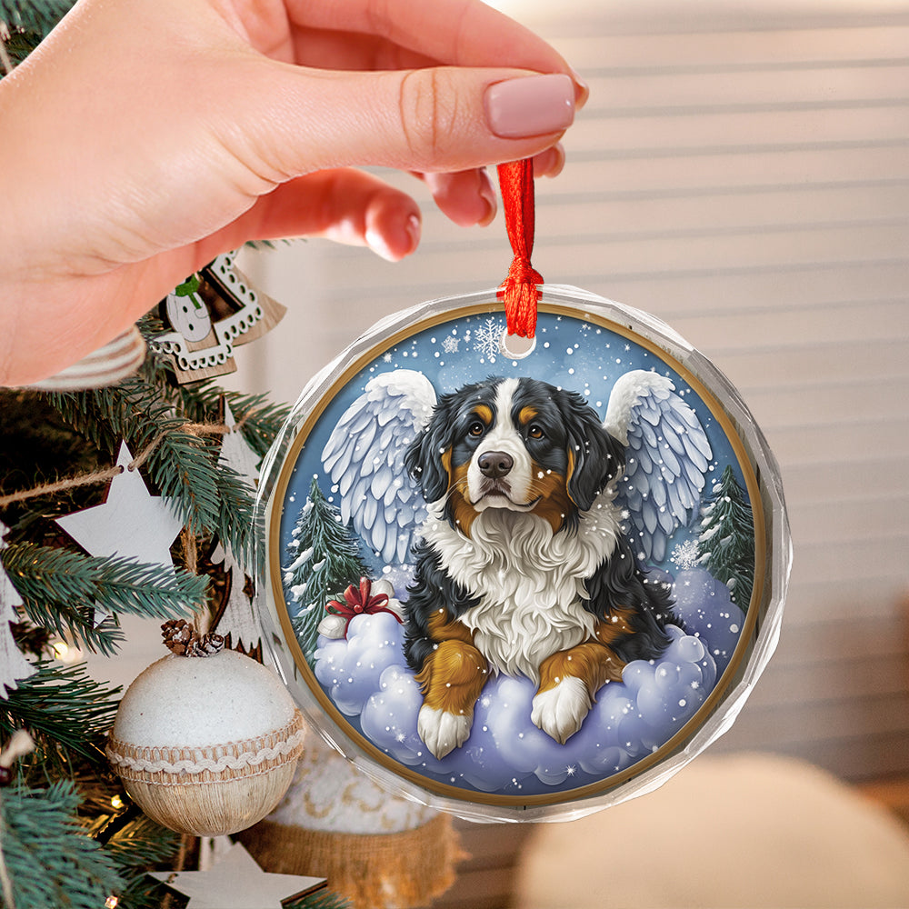 Angel Bernese Mountain Dog 4