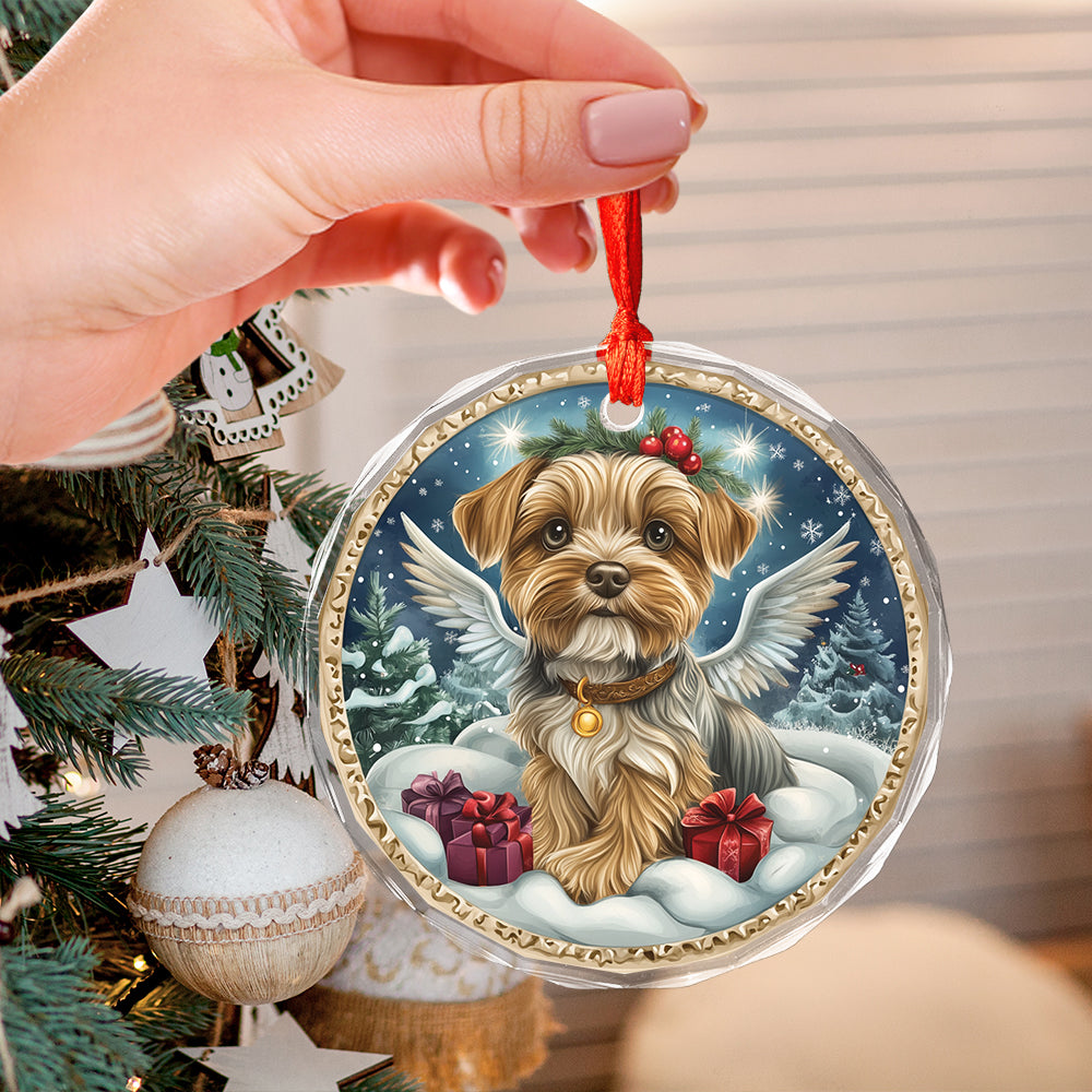 Angel Yorkshire Terrier Dog 4