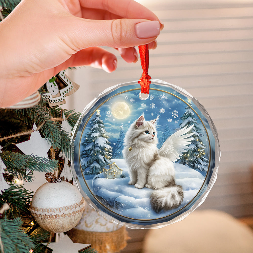 Angel Turkish Angora 4