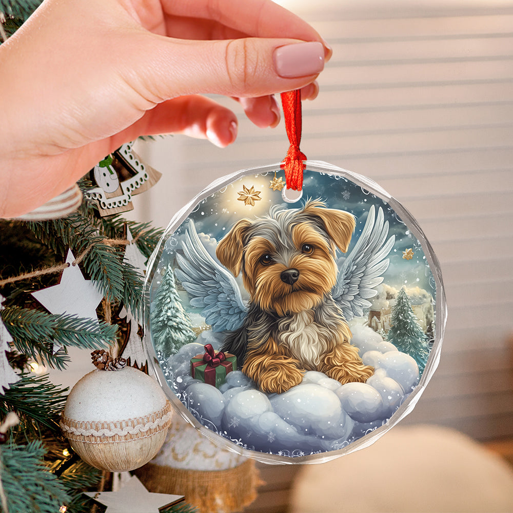 Angel Yorkshire Terrier Dog 1