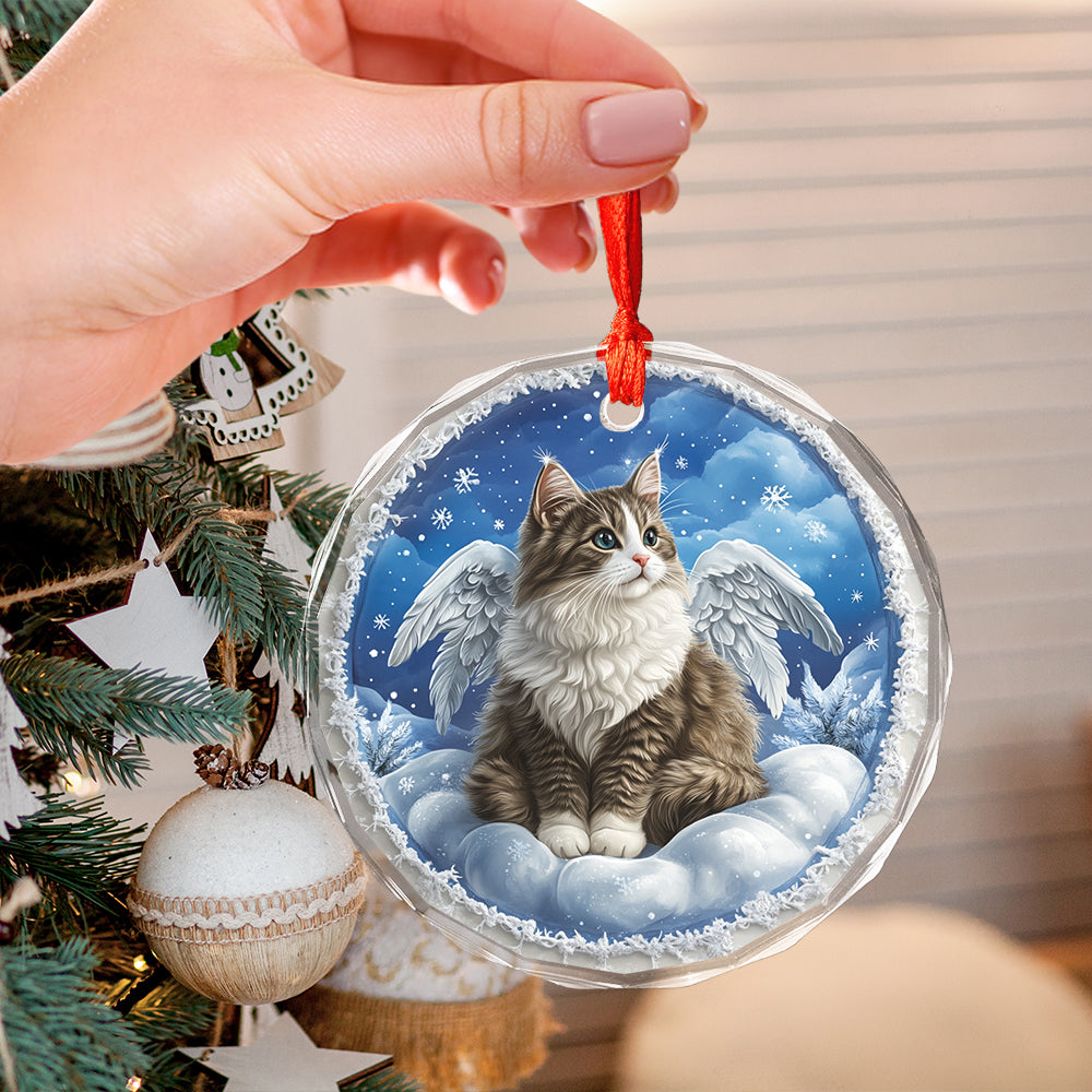 Angel Norwegian Forest Cat 4