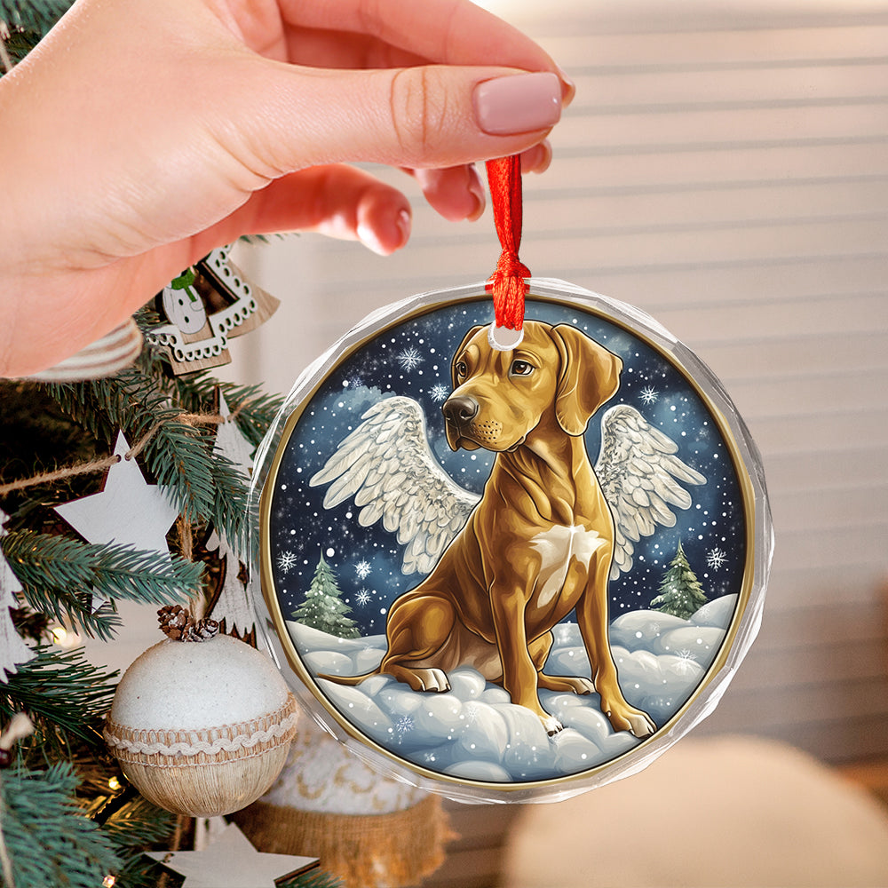 Angel Rhodesian Ridgeback Dog 2