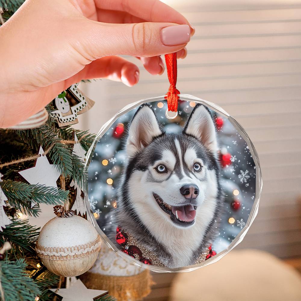 Beautiful Angus Huskie Dog Christmas Night Design 3 Glass Ornament