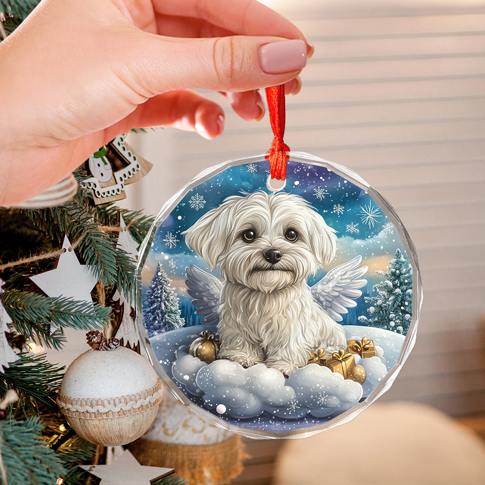 Angel Maltese Dog 2