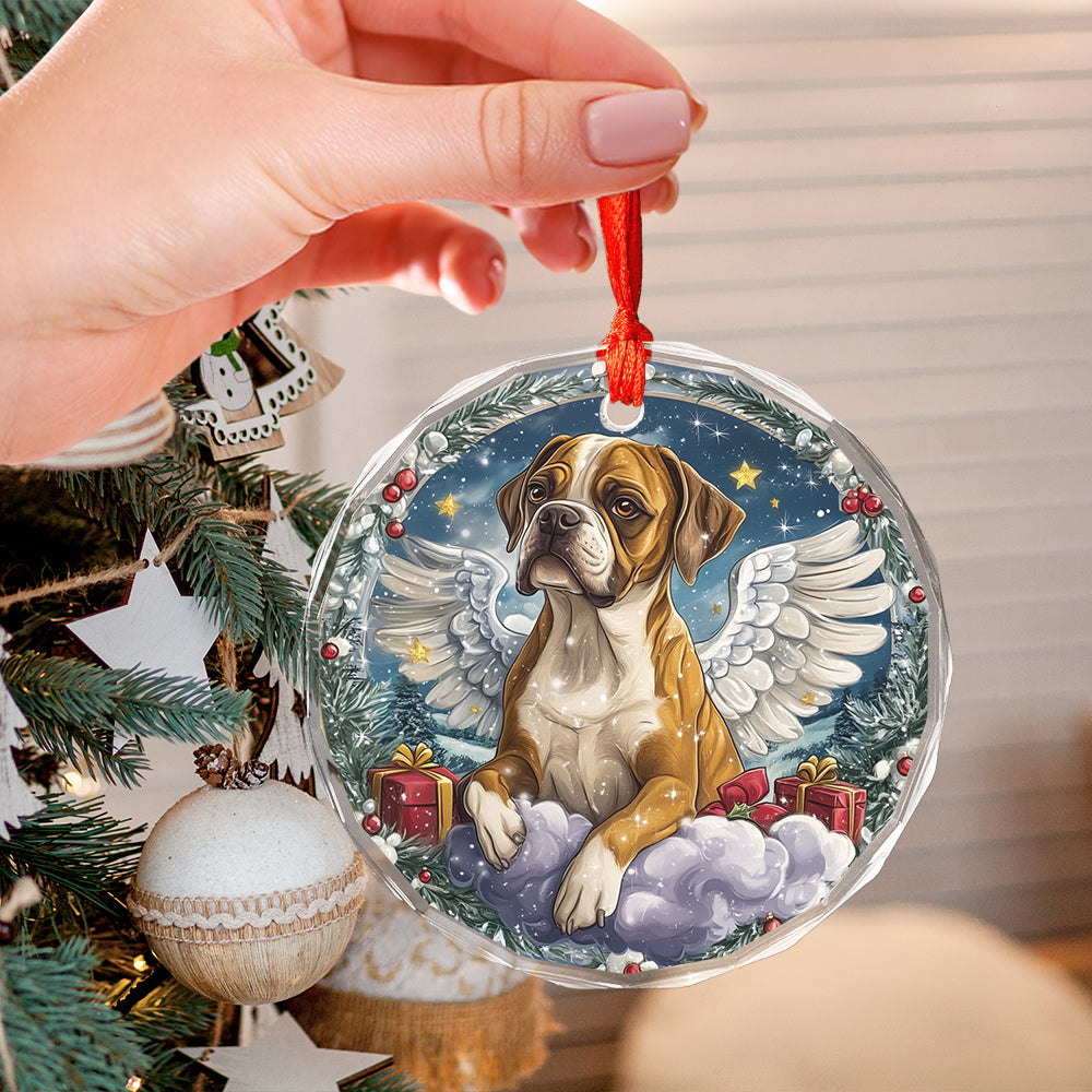 Angel Boxer Dog 1