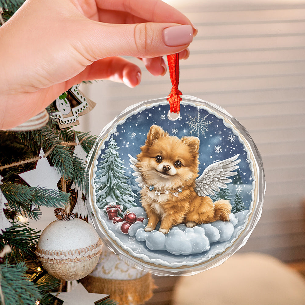 Angel Pomeranian Dog 3