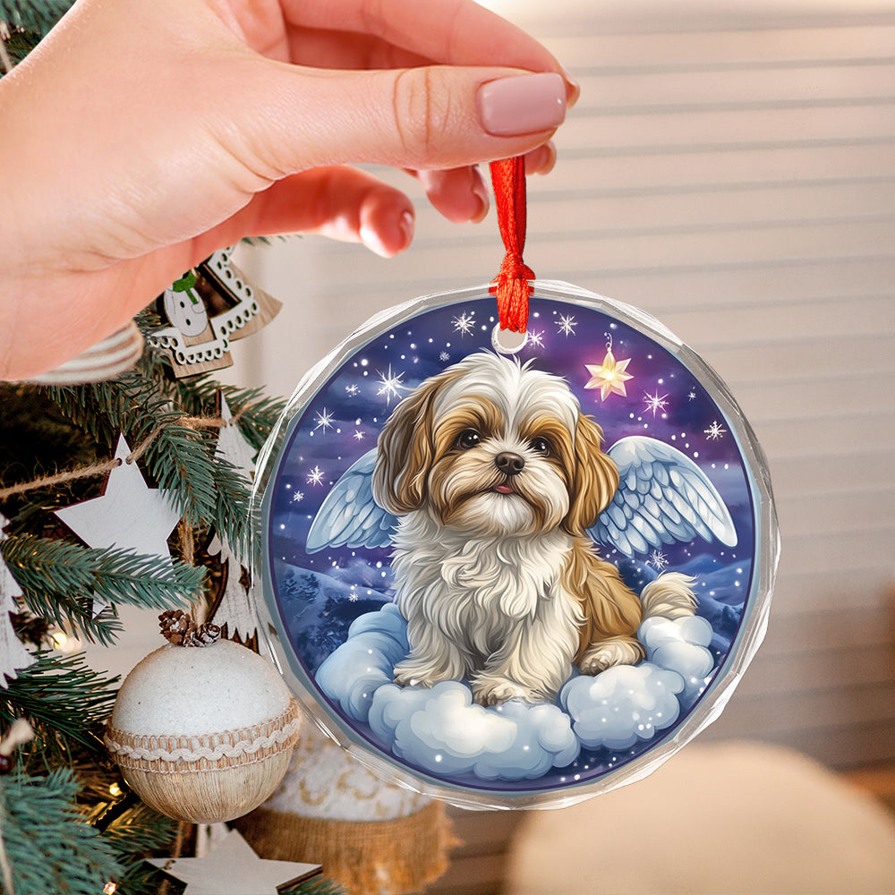 Angel Shih Tzu Dog 4
