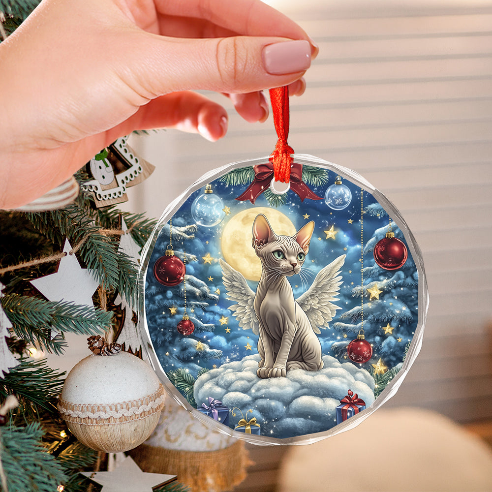 Angel Sphynx Cat 3