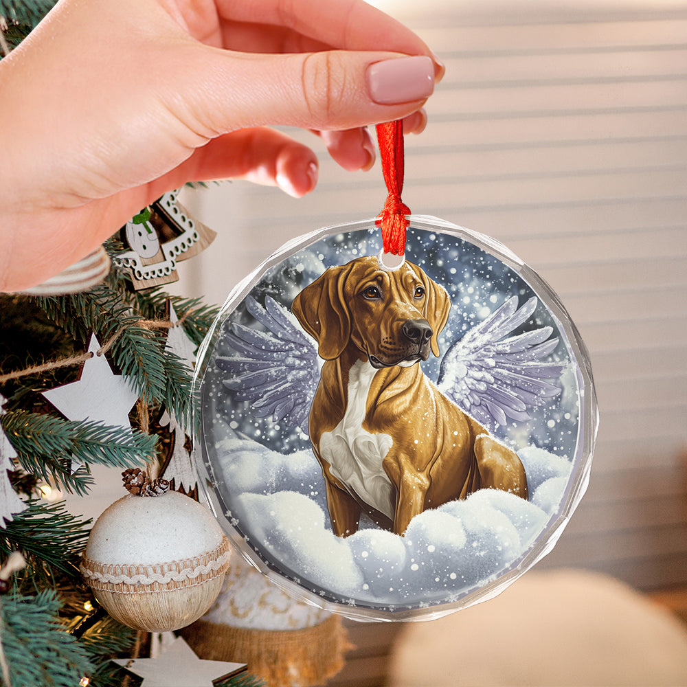 Angel Rhodesian Ridgeback Dog 4