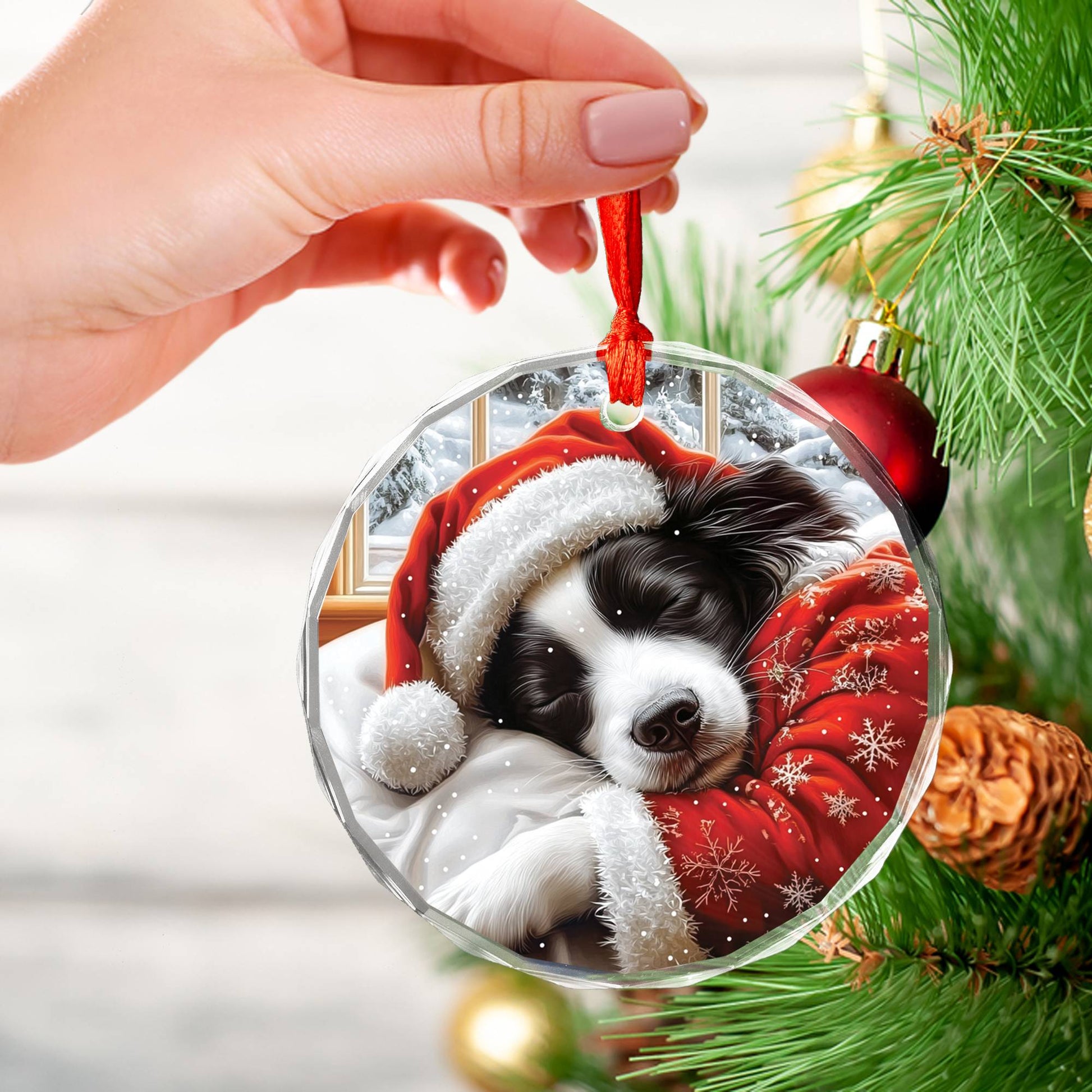 Border Collie Dog Sleeping In Bed Design 3