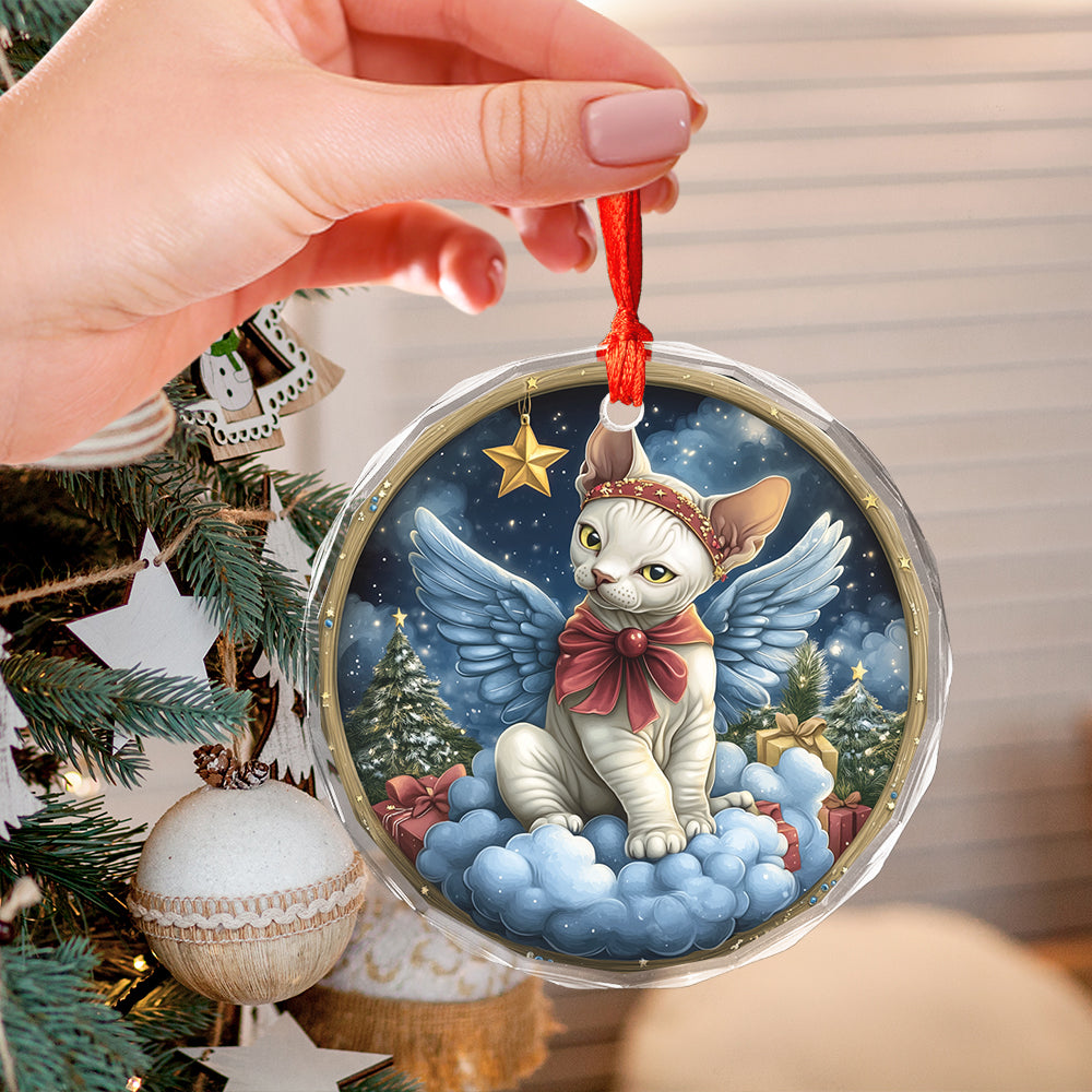 Angel Sphynx Cat 1