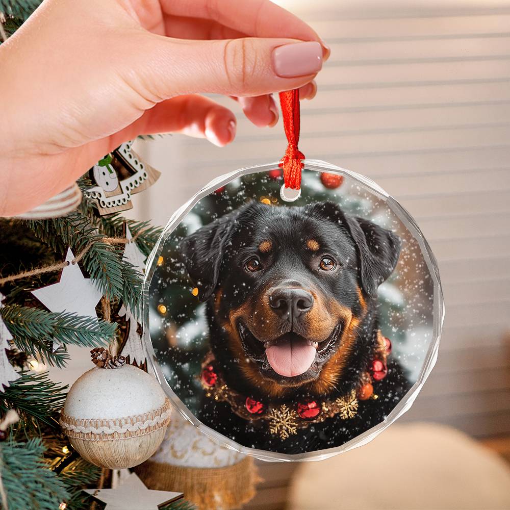 Beautiful Angus Rottweiler Dog Christmas Night Design 2 Glass Ornament