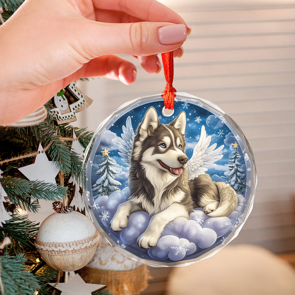 Angel Siberian Husky Dog 1