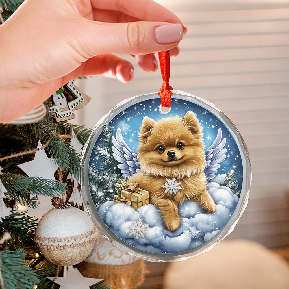 Angel Pomeranian Dog 1