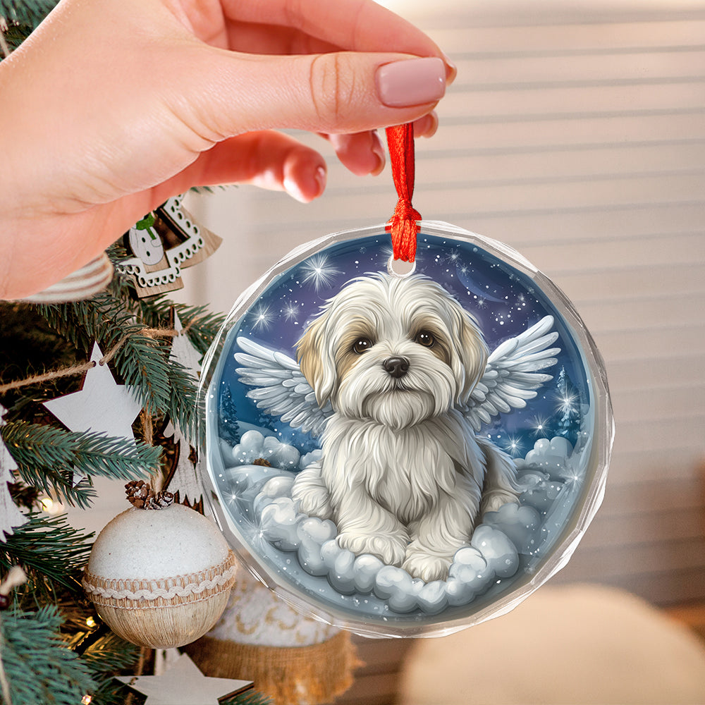 Angel Maltese Dog 4