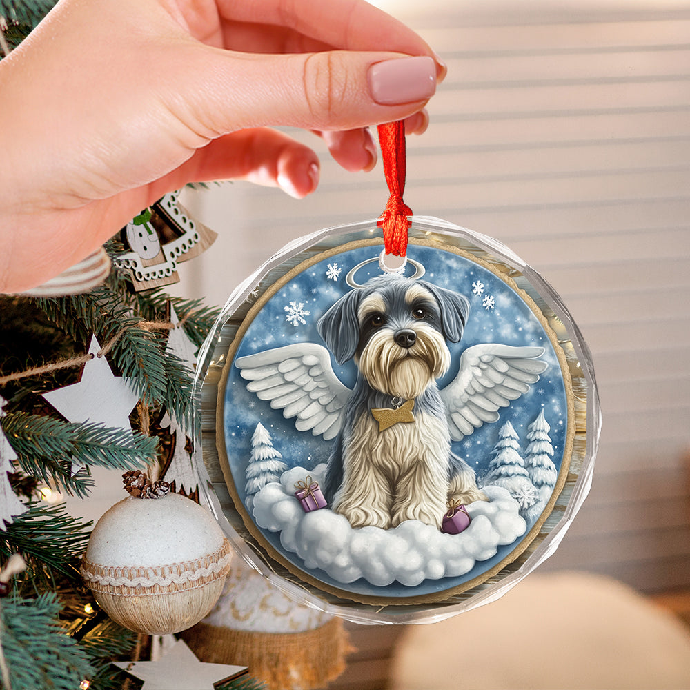 Angel Miniature Schnauzer Dog 2
