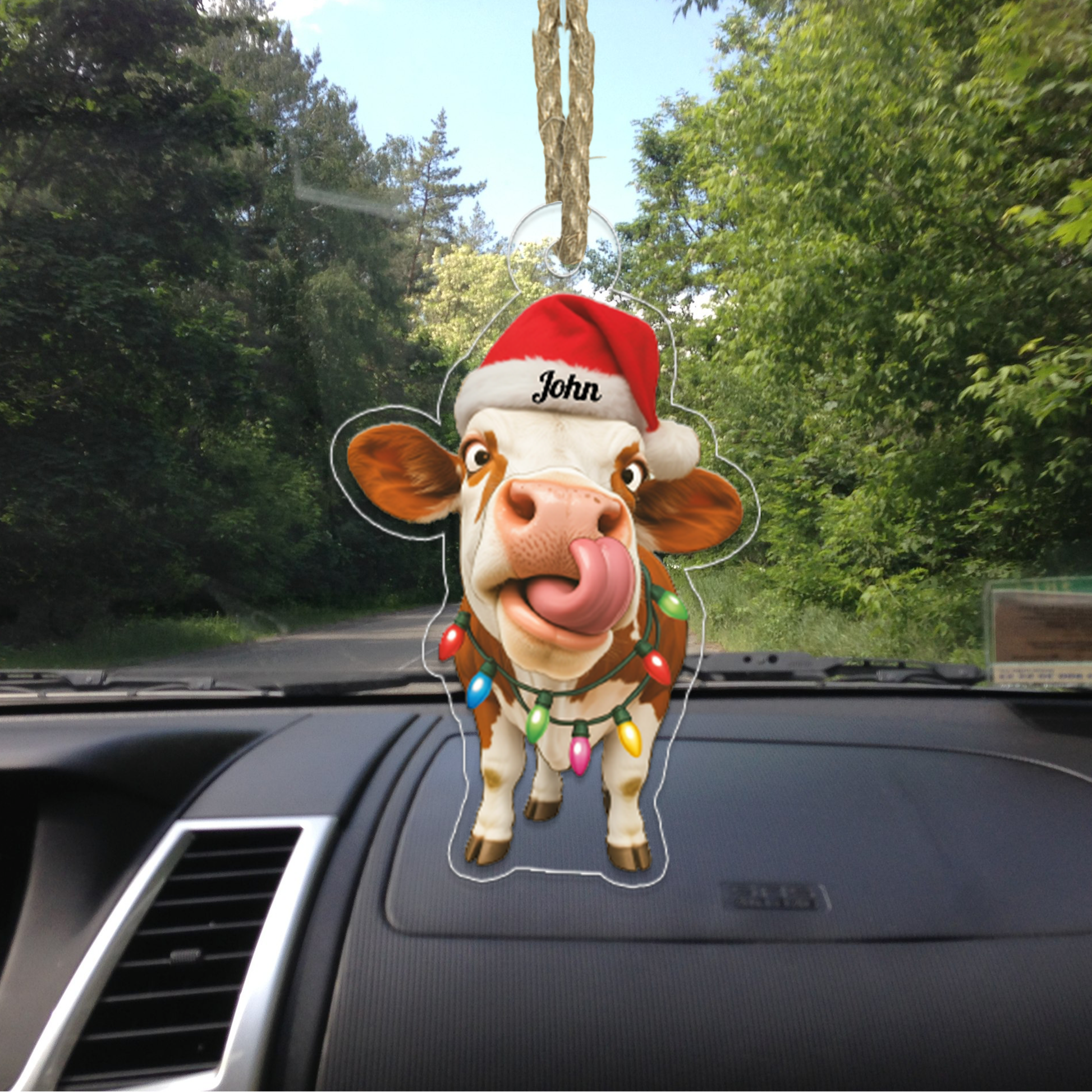 Farm Animal, Dairy Cow