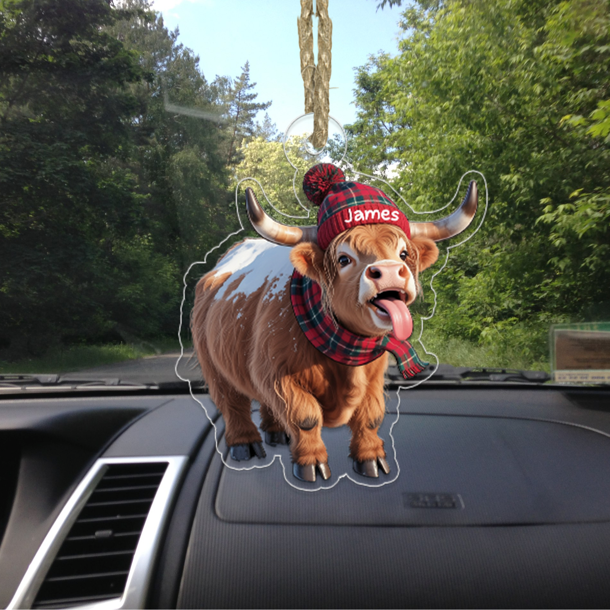Highland Cattle