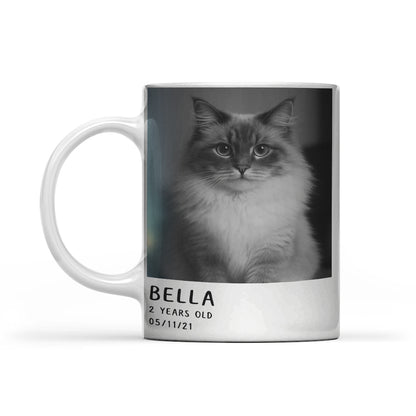 Custom Photo Polaroid Film MugGift For Cat Lovers