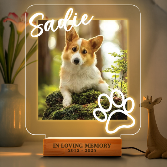 Custom Dog Portrait Night Light, Personalized Pet Lovers Gifts, Personalized Pet Memorial LED Night Light