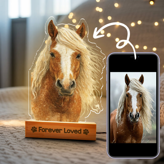 Custom Horse Portrait Night Light, Personalized Pet Lovers Gifts, Personalized Pet Memorial LED Night Light