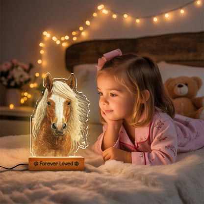 Custom Horse Portrait Night Light, Personalized Pet Lovers Gifts, Personalized Pet Memorial LED Night Light