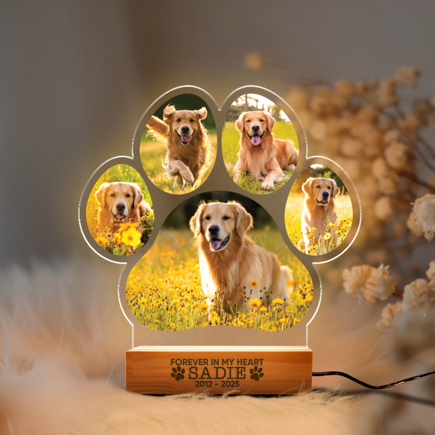 Aeluxlas Custom Dog Photo Night Light, Dog Memorial Gifts, Light Up Pet Memorial Plaque, Custom Photo Gift, Personalized Gift for Pet Loss