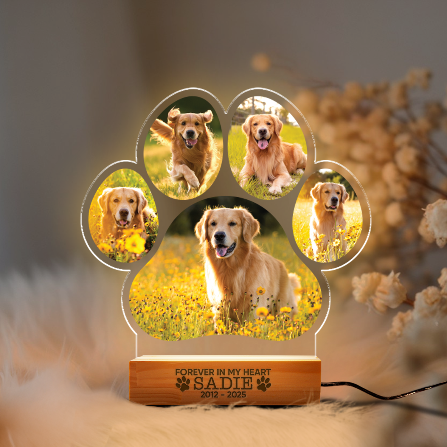 Aeluxlas Custom Dog Photo Night Light, Dog Memorial Gifts, Light Up Pet Memorial Plaque, Custom Photo Gift, Personalized Gift for Pet Loss
