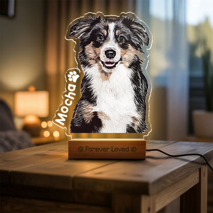 Custom Dog Portrait Night Light, Personalized Pet Lovers Gifts, Personalized Pet Memorial LED Night Light