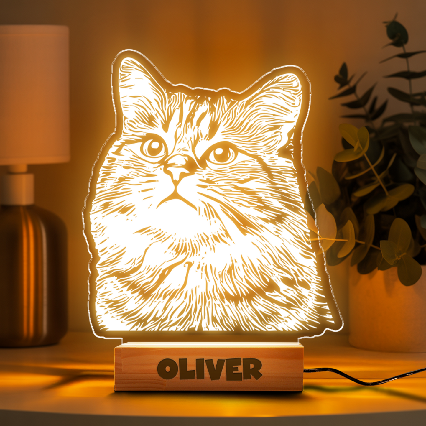 Custom Cat Portrait Night Light, Personalized Pet Lovers Gifts, Personalized Pet Memorial LED Night Light