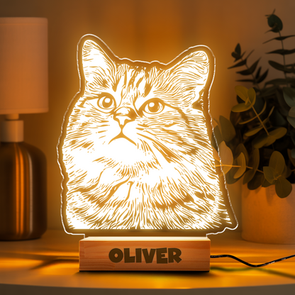 Custom Cat Portrait Night Light, Personalized Pet Lovers Gifts, Personalized Pet Memorial LED Night Light