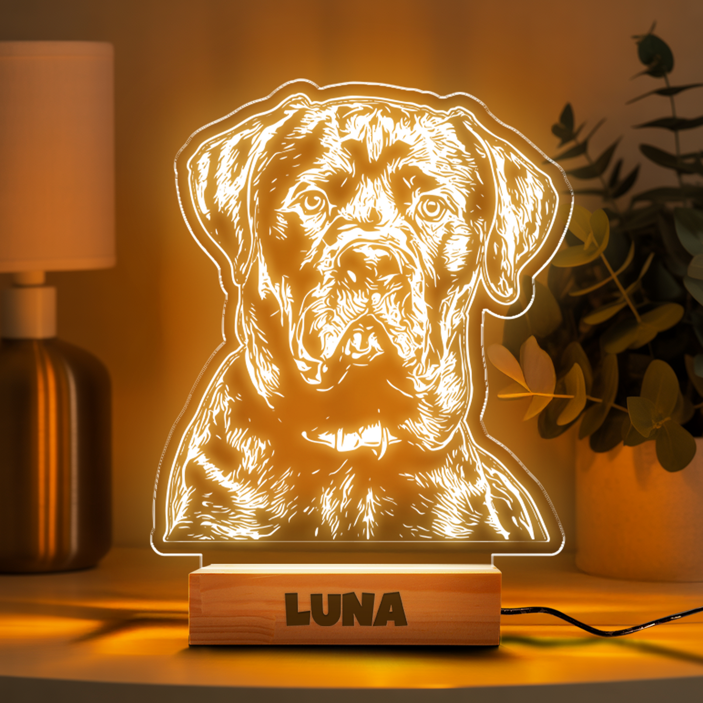 Custom Dog Portrait Night Light, Personalized Pet Lovers Gifts, Personalized Pet Memorial LED Night Light