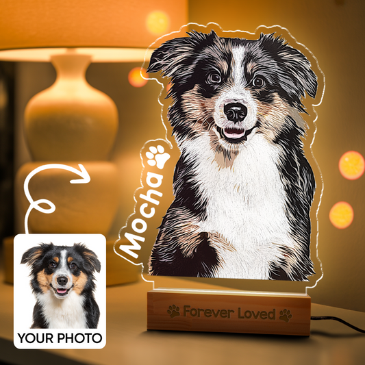 Custom Dog Portrait Night Light, Personalized Pet Lovers Gifts, Personalized Pet Memorial LED Night Light