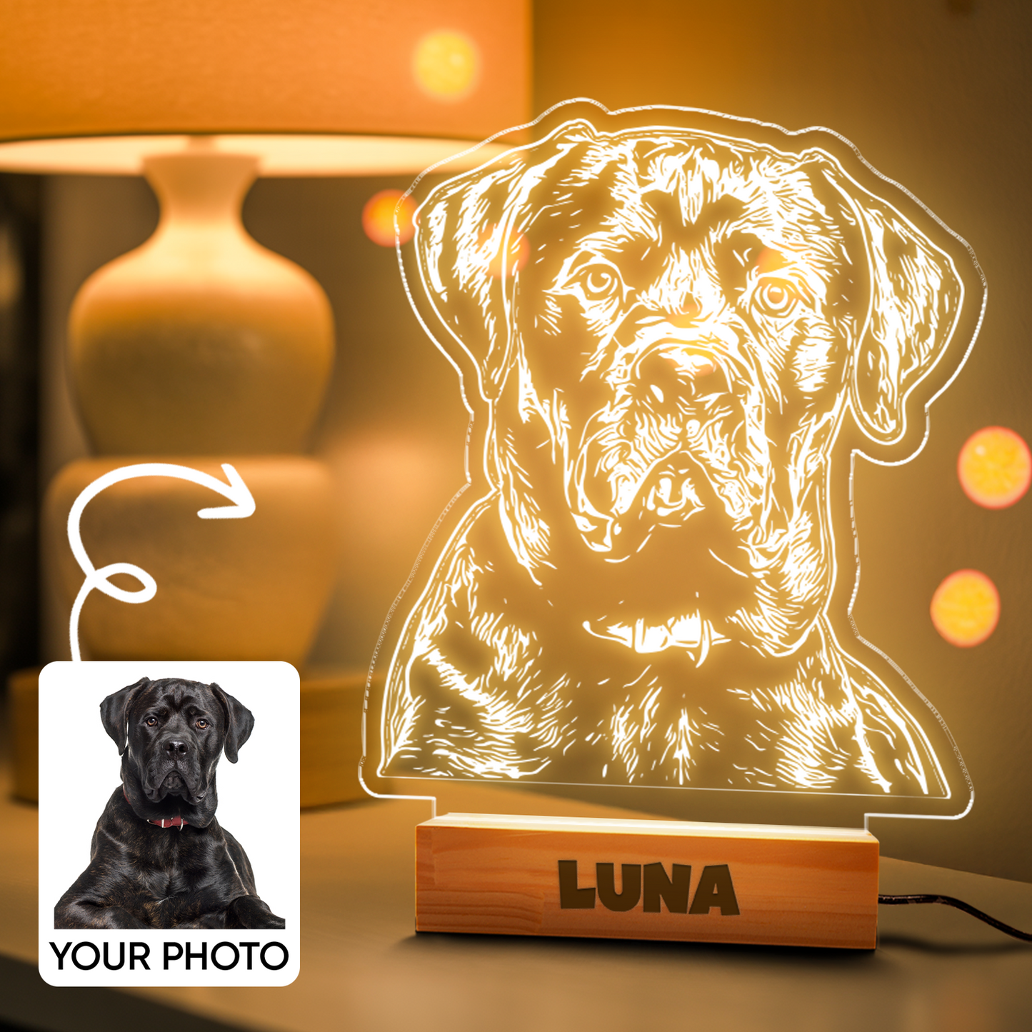 Custom Dog Portrait Night Light, Personalized Pet Lovers Gifts, Personalized Pet Memorial LED Night Light