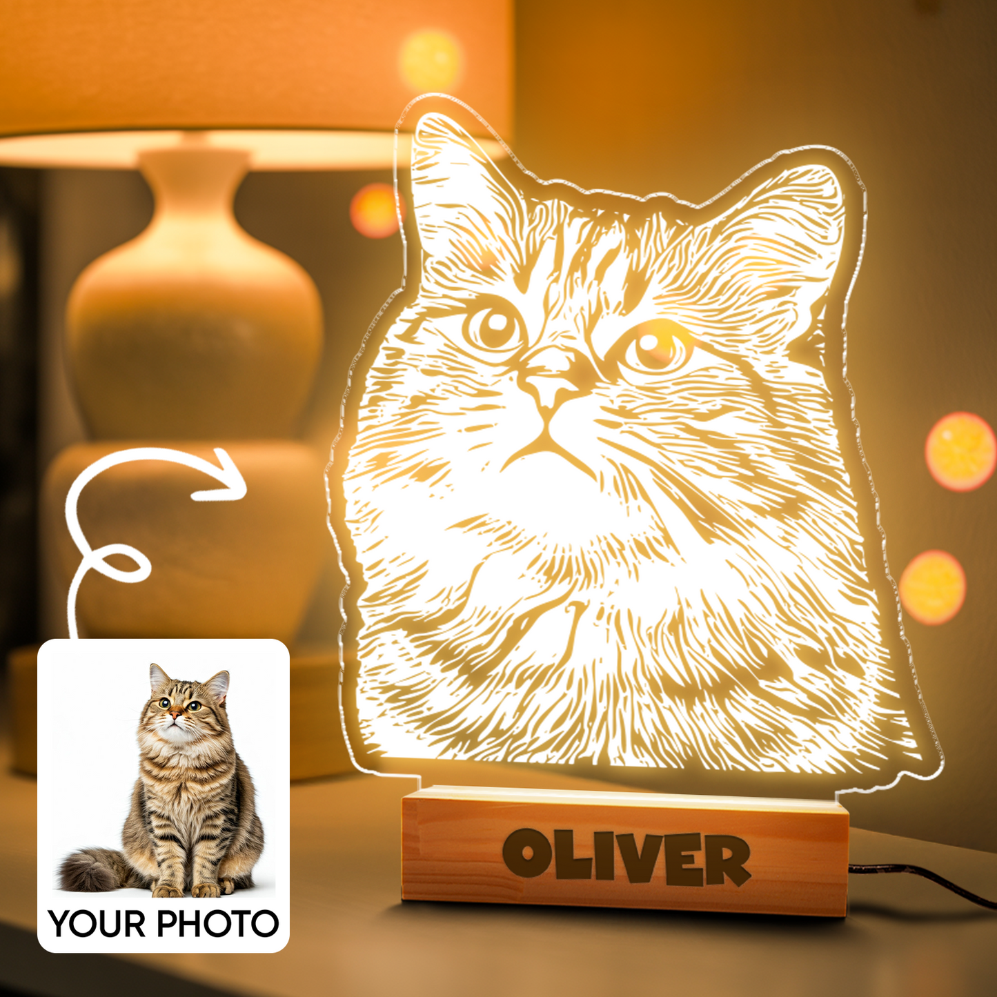 Custom Cat Portrait Night Light, Personalized Pet Lovers Gifts, Personalized Pet Memorial LED Night Light