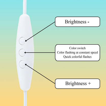 Custom Horse Portrait Night Light, Personalized Pet Lovers Gifts, Personalized Pet Memorial LED Night Light