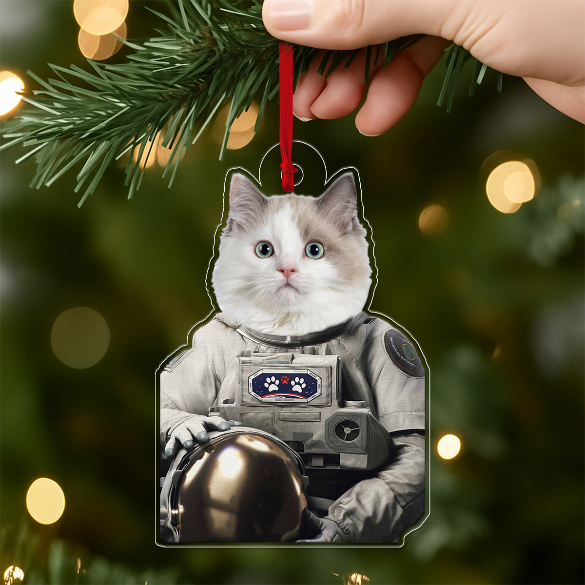 Custom Photo Pet Astronaut