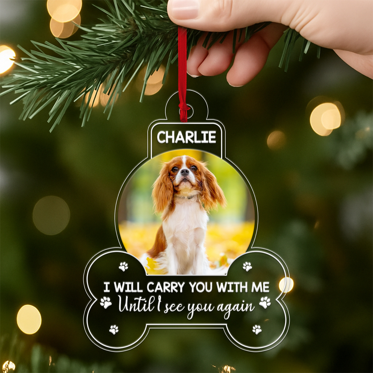 Custom Photo Dog Custom Photo I Will Carry You With Me