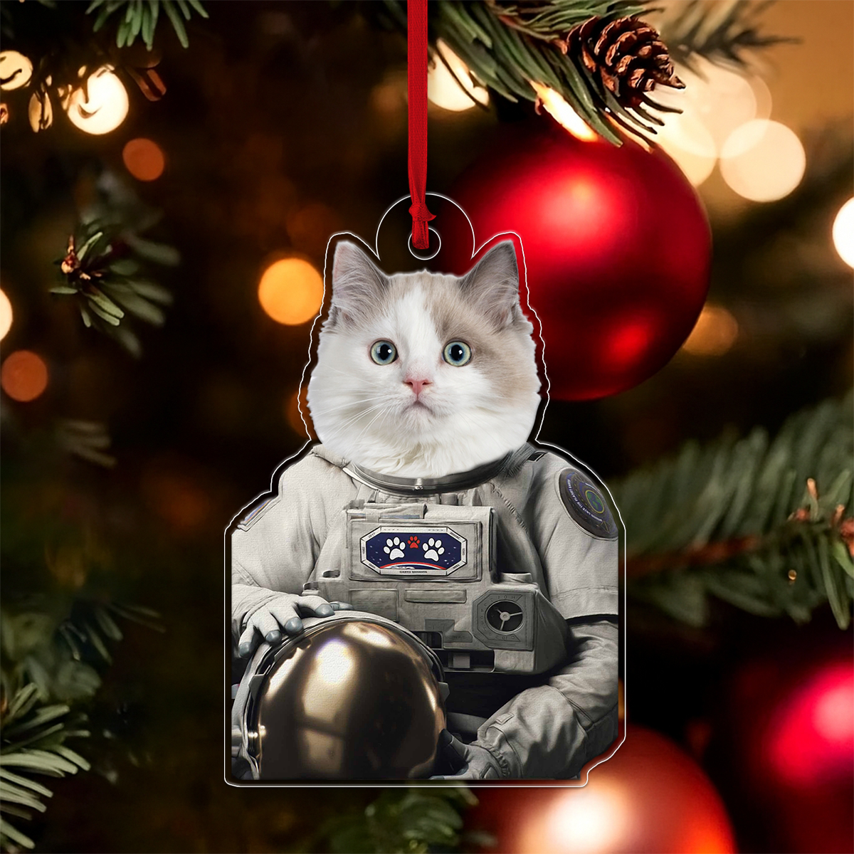 Custom Photo Pet Astronaut