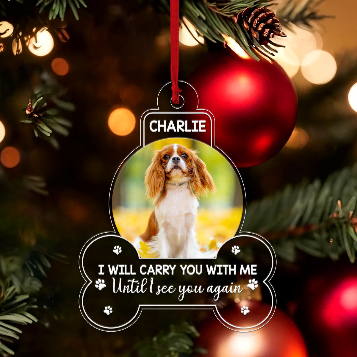 Custom Photo Dog Custom Photo I Will Carry You With Me