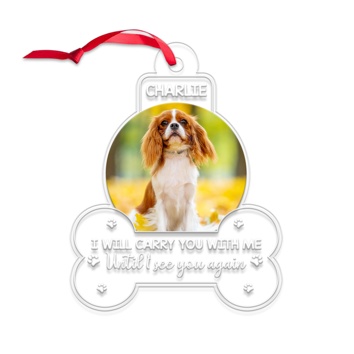 Custom Photo Dog Custom Photo I Will Carry You With Me