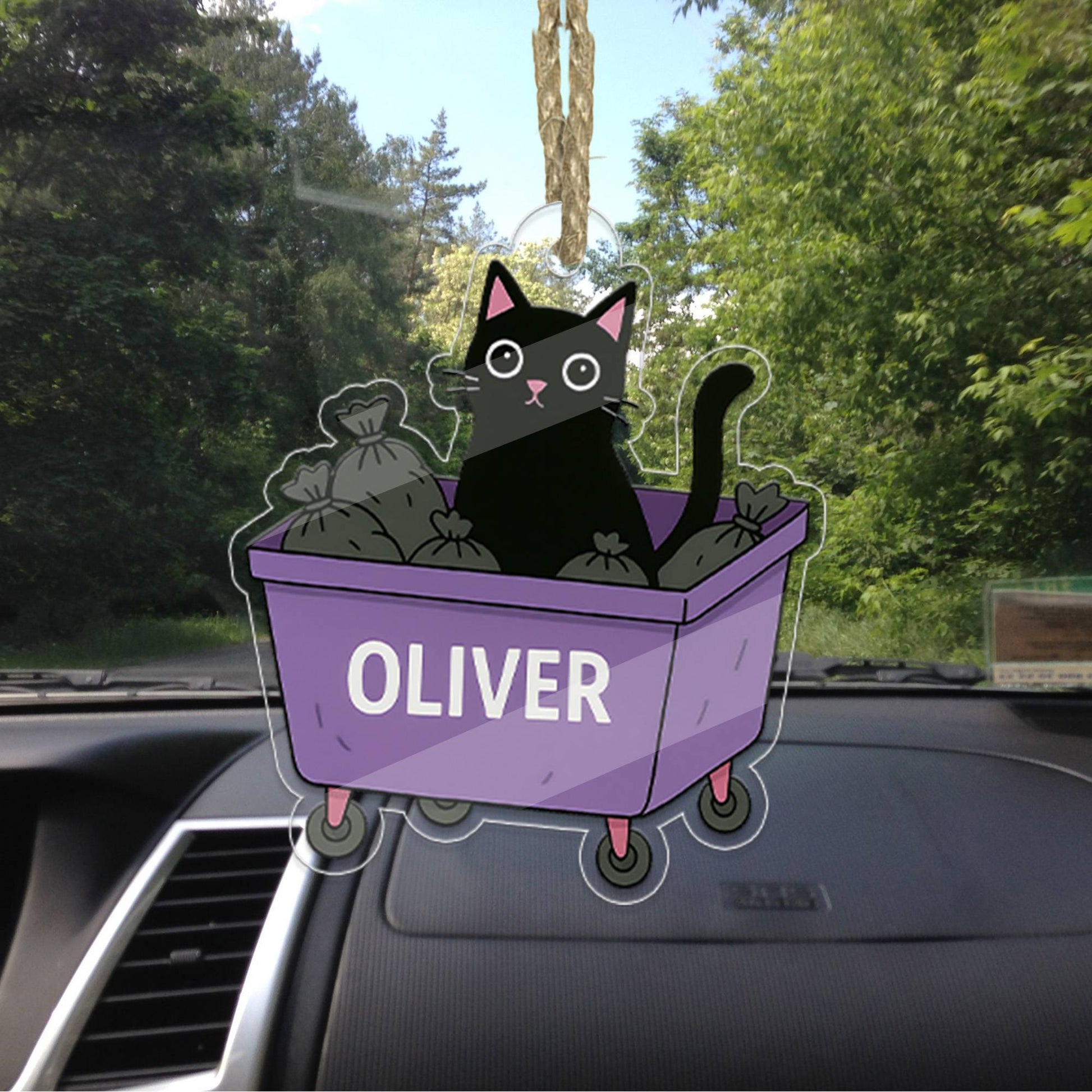 Personalized Black Cat In The Trash Acrylic Ornament, Cat Hanging Tree Decoration, Trash Ornament, Gift for Friend, Funny Ornament Gift