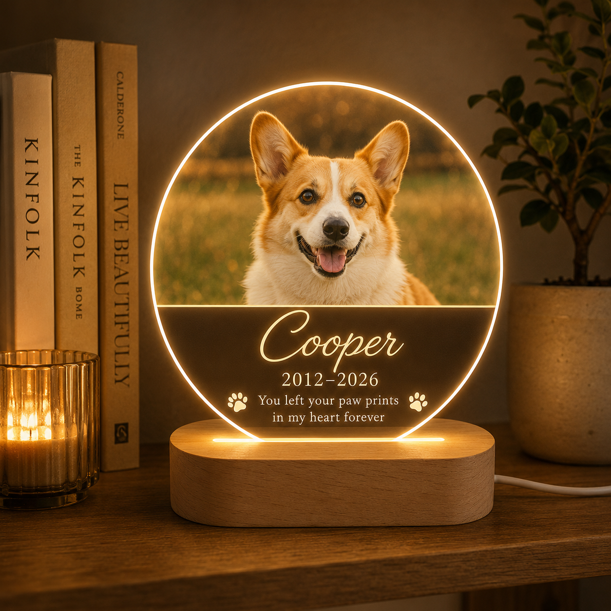 Custom Photo Dog Memorial Wooden LED Light | Personalized Dog Photo LED Night Light | Pet Loss Sympathy Gift TOM99
