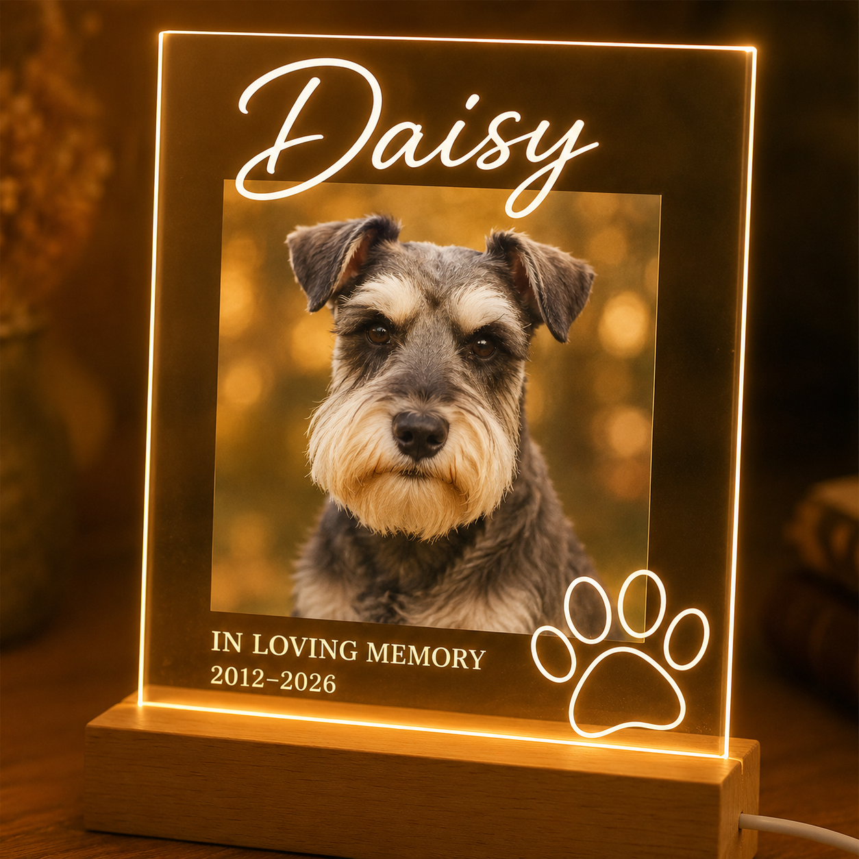 Custom Photo Dog In Loving Memorial Wooden LED Light | Personalized Dog Photo LED Night Light | Pet Loss Sympathy Gift TOM99