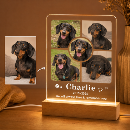 Custom Photo Dog Remember You Wooden LED Light | Personalized Dog Photo LED Night Light | Pet Loss Sympathy Gift TOM99